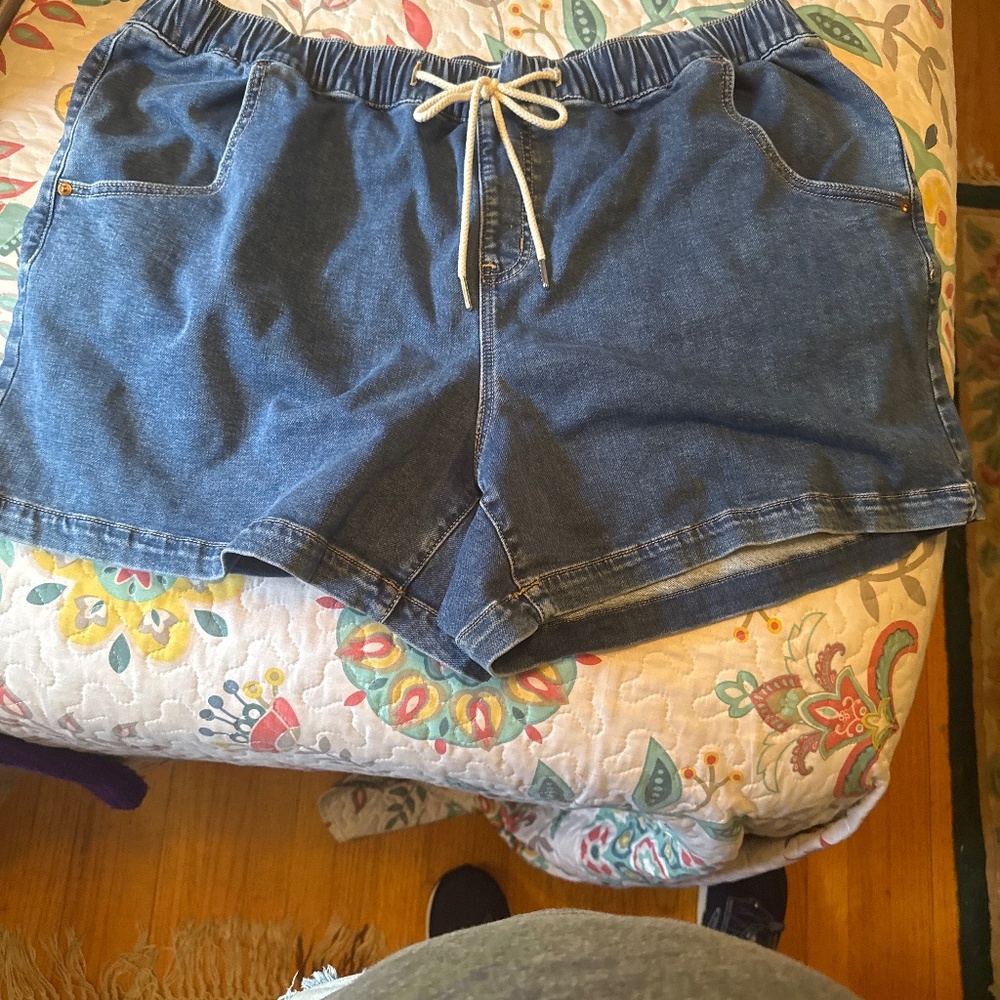 Lane. Bryant pull on shorts